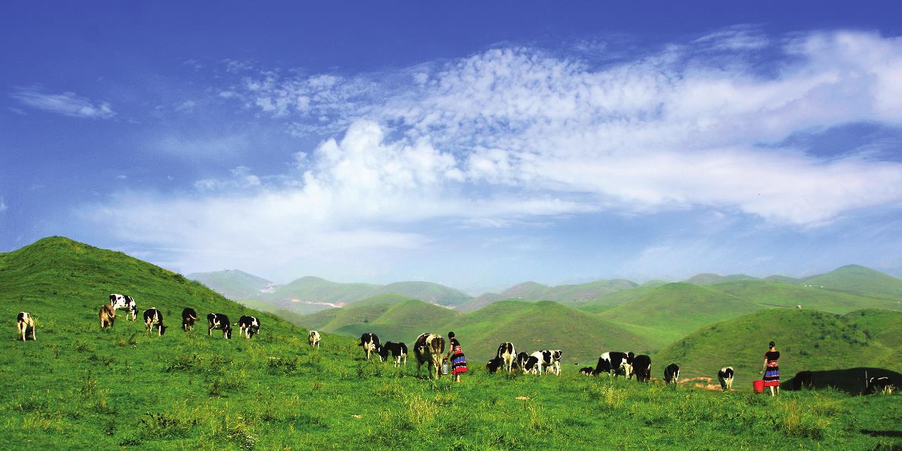 一步之城，萬(wàn)種風(fēng)情 ——《城步苗族自治縣旅游產(chǎn)業(yè)發(fā)展總體規(guī)劃及重點(diǎn)景區(qū)概念性規(guī)劃》