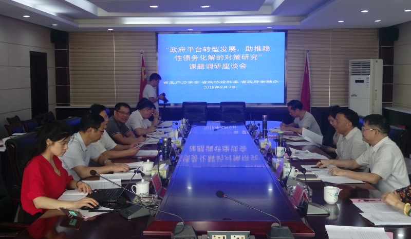 北冰院長參與“政府平臺轉(zhuǎn)型發(fā)展，助推隱性債務化解的對策研究”課題調(diào)研座談會