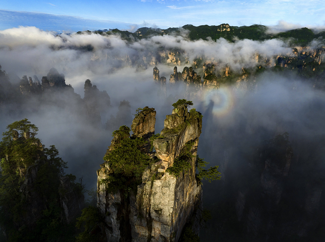 陳獻(xiàn)春：大健康時(shí)代候鳥(niǎo)式康養(yǎng)旅游發(fā)展大有可為